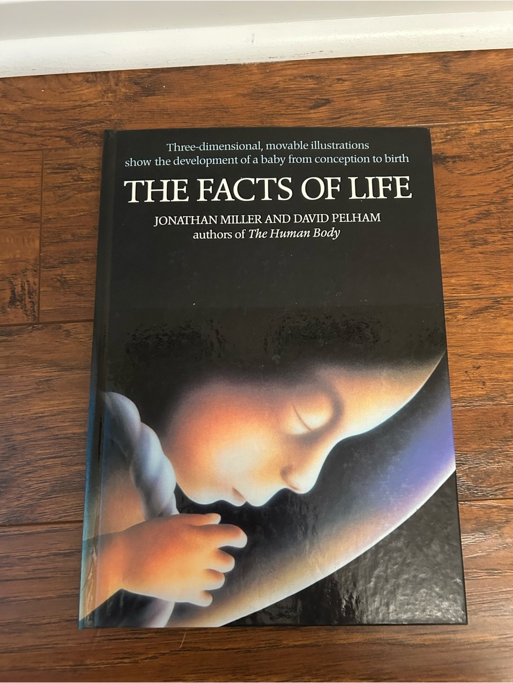 Rare Vintage Pop-Up Book The Facts of Life 1984 Jonathan Miller & David Pelham
